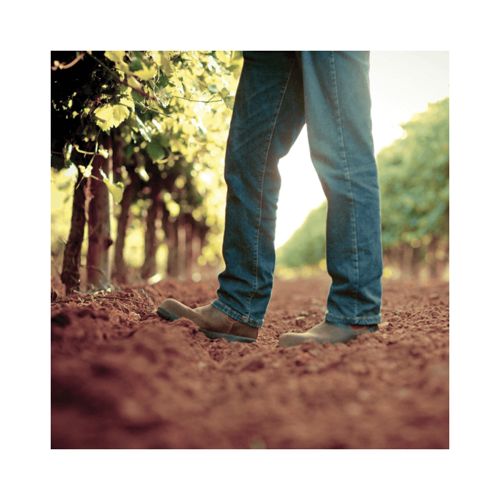 Oxford Landing Estates Sauvignon Blanc