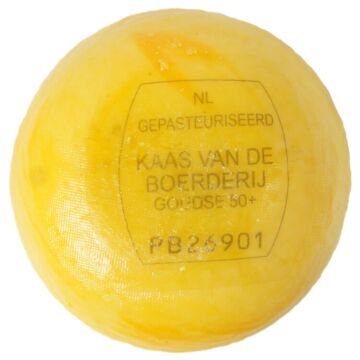 Boerenpondje