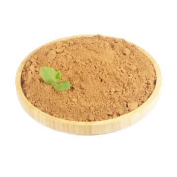cacaopoeder