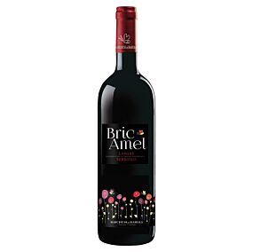 Bric Amel Nebbiolo Langhe Rosso