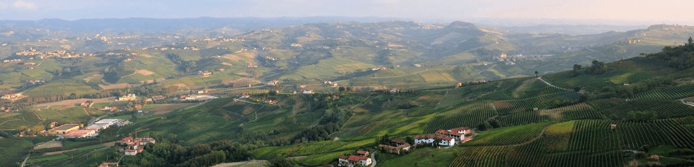 Marchesi di Barolo Wijngaarden